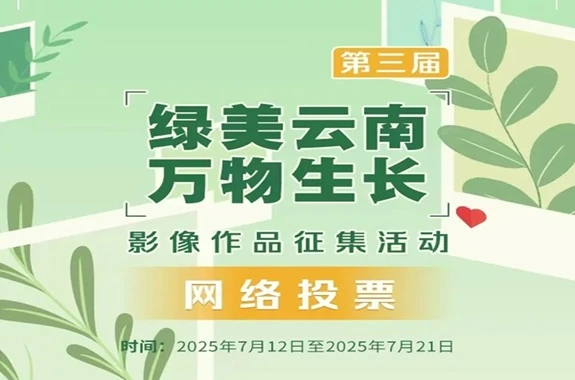 来投票!为您喜爱的云南林草摄影作品 /html/2025/mainnews_0711/74960.html