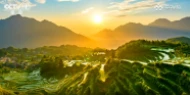 《探秘哀牢山》第二集:《迷雾森林》