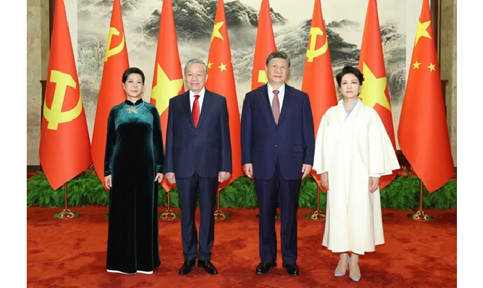 习近平同越共中央总书记、国家主席苏林举行会谈