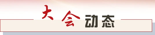 大会动态
