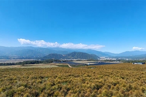 保山市腾冲市：大力发展中药材产业 助力乡村振兴