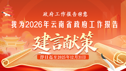 我为2026年云南省政府工作报告建言献策