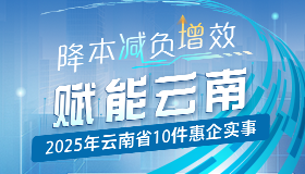 降本减负增效 赋能云南——2025年云南省10件惠企实事